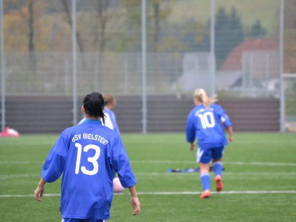 Jenny beobachtet einen Zweikampf aus dem Hintergrund Jenny beobachtet einen Zweikampf aus dem Hintergrund