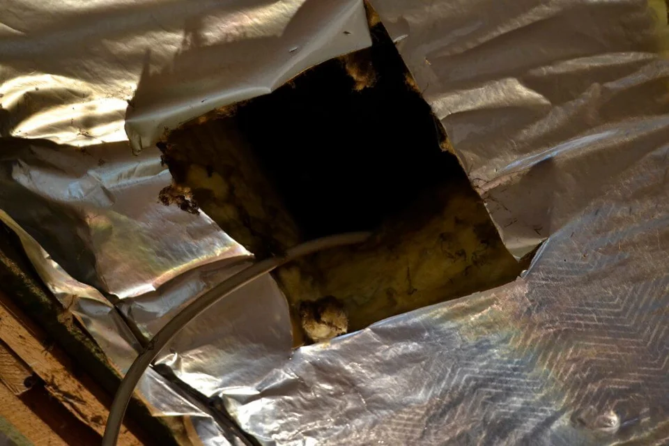 Zeichen jahrzehntelanger Verwahrlosung: die Deckendämmung Zeichen jahrzehntelanger Verwahrlosung: die Deckendämmung