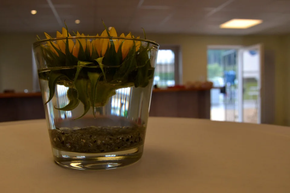 Das Vereinshaus überrascht mit einer enormen Weiträumigkeit und echtem Wohlfühlfaktor Das Vereinshaus überrascht mit einer enormen Weiträumigkeit und echtem Wohlfühlfaktor