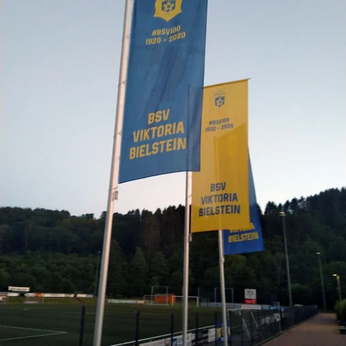 Neue Fahnen braucht das Land: Seit Dienstag begrüßen neue Fahnen die Besucher in der Dr. Kind Arena
