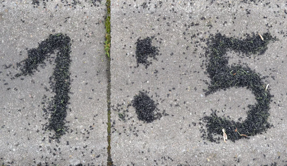 Das Endergebnis des Spiels, geschrieben in Granulatstückchen Das Endergebnis des Spiels, geschrieben in Granulatstückchen