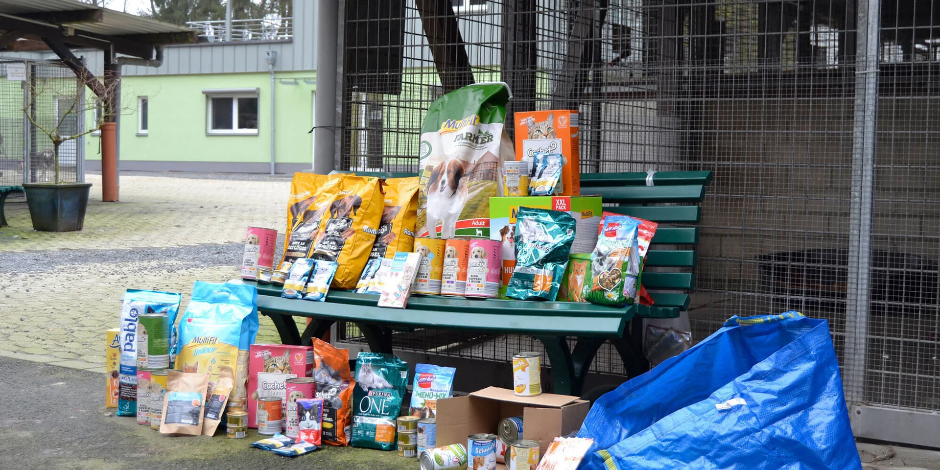 Wir möchten dem Tierheim Koppelweide auch in diesem Jahr wieder etwas Gutes tun und sammeln deshalb Geld-, Sach- und Futterspenden