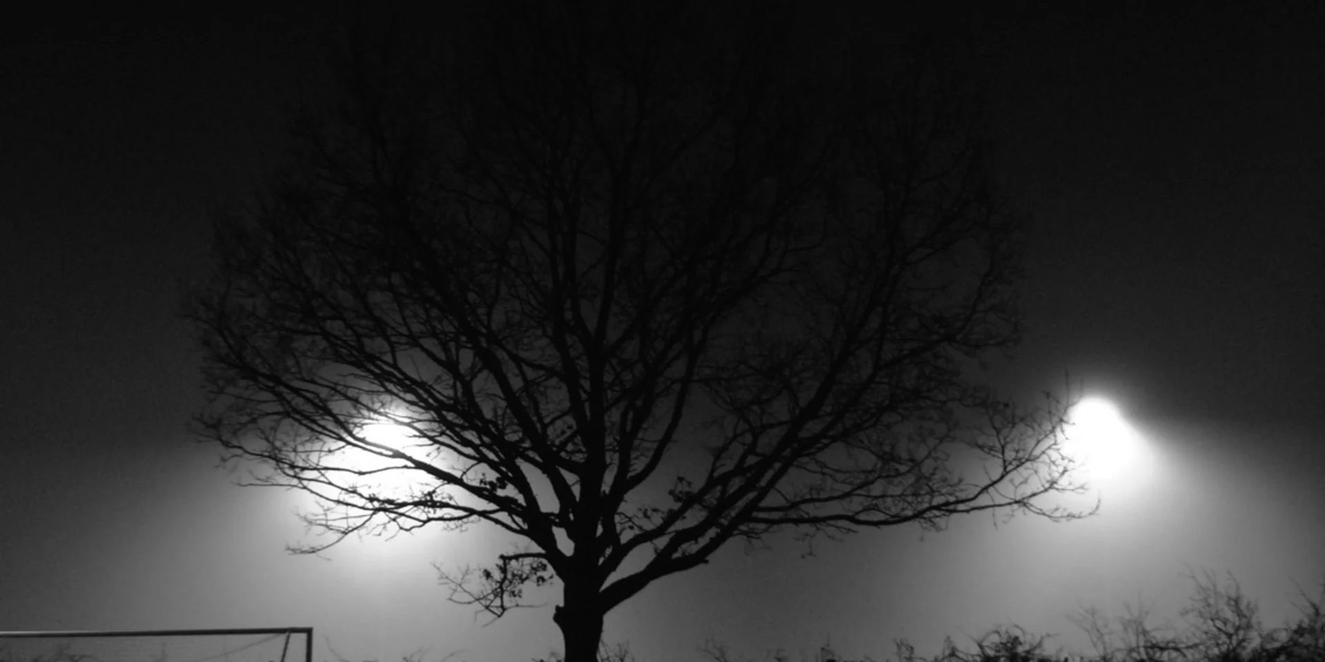 Das Treffen mit Dietmar dauerte bis in die späten Abendstunden und war für viele sehr erkenntnisreich